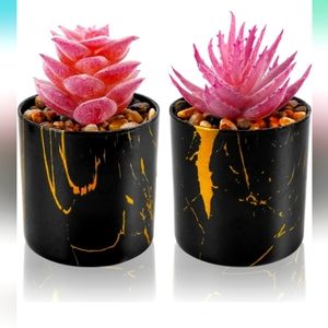 Two decor pink succulents
